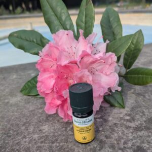 Huile Essentielle Gingembre Bio Chaleur · Force · Vitalité
