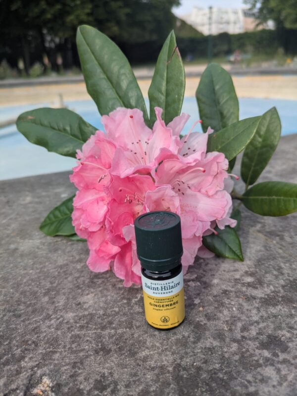 Huile Essentielle Gingembre Bio Chaleur · Force · Vitalité
