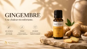 Huile essentielle de Gingembre